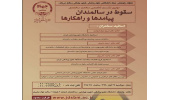 دومین نشست تخصصی سلامت سالمندی با موضوع "سقوط در سالمندان؛ پیامدها و  راهکارها"