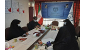 وبینار« زن و دفاع مقدس» برگزار شد