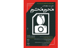 ارسال ۱۲۰ اثر به دبیرخانه دهمین سوگواره عکاسی «مَحرم مُحرم»