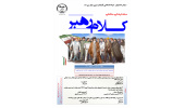 برگزاری مسابقه فرهنگی مطالعاتی کلام رهبر در دانشگاه های آذربایجان غربی