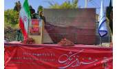 تسهیل شرایط سرمایه گذاری برای فرآوری زرشک در خراسان جنوبی
