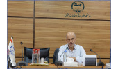 ضرورت تعریف و تفکیک تولید توسعه گرا از تولیدات مبتنی بر مواد خام طبیعی، مونتاژ و تولید معیشتی