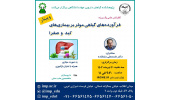 بررسی فرآورده های گیاهی موثر بر بیماریهای کبد و صفرا
