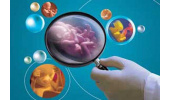 فریز ۶ هزار جنین در مجتمع درمانی جهاددانشگاهی استان مرکزی