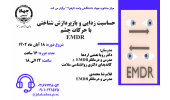 کارگاه تخصصی حساسیت زدایی و بازپردازش شناختی با حرکات چشم برگزار می شود