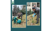 برگزاری آئین روز درختکاری با مشارکت پژوهشکده گیاهان دارویی جهاددانشگاهی و فرهنگستان علوم جمهوری اسلامی
