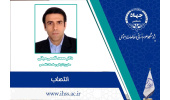 انتصاب معاون پشتیبانی و خدمات تخصصی پژوهشگاه علوم انسانی و مطالعات اجتماعی جهاددانشگاهی