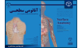 چاپ کتاب " آناتومی سطحی" از سوی انتشارات جهاددانشگاهی واحد استان قم