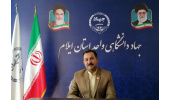 اعطای تسهیلات اشتغال‌زایی به متقاضیان مشاغل خانگی و خرد در ایلام