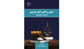 کتاب تعیین و تقنین کیفر تعزیری منتشر شد