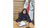 تکانههای ارزی، دشمن اصلی تابآوری خودروسازان / سیاستهای مالی دولت اثر تقویتی دارد