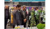 ظرفیتهای علمی جهاددانشگاهی پشتوانه مهمی برای ارتقای کیفیت خدمات محیطزیستی استان است