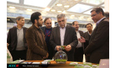 آخرین دستاوردهای مجموعه‌های پژوهشی جهادی فعال در حوزه‌ی گیاهان دارویی/ گزارش خواندنی از غرفه‌های حاضر در نمایشگاه