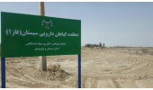 اختصاص ۱۰ میلیارد ریال برای راه‌اندازی واحد فرآوری گیاهان داروئی در سیستان و بلوچستان