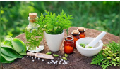 آیا استفاده از داروهای گیاهی واقعاً بی‌خطر است؟