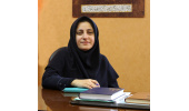 ۲۳۰۰ نفر از خدمات دبیرخانه علمی آسیب های اجتماعی خراسان جنوبی بهره مند شدند