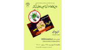 ​​​​​​​برپایی کارگاه مجازی طنز درباره کرونا