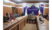 طرح ملی مشاغل خانگی در استان سمنان مدلی کارآمد و موفق است