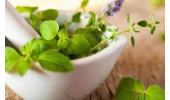 مرزنجوش گیاهی برای تسکین دردهای میگرنی
