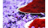 زعفران تقلبی چه ویژگی هایی دارد؟