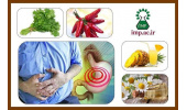 گیاهان دارویی که برای پیشگیری و درمان سوء هاضمه مفیدند