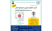 کنفرانس علمی یکروزه «کاربرد گیاهان دارویی و داروهای گیاهی در درمان بیماری‌های گوارشی»برگزار شد
