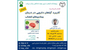 کنفرانس«کاربرد گیاهان دارویی در درمان بیماری های اعصاب» برگزار شد