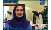 طرح استفاده از سلول‌های بنیادی مشتق از اندومتر در درمان ناباروری به مرحله کارآزمایی بالینی رسید