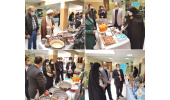 برپایی نمایشگاه دستاوردهای طرح ملی توسعه مشاغل خانگی استان همدان