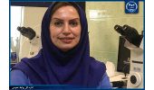 روش‌های افزایش شانس موفقیت آی‌وی‌اف/ایران،یکی از قطب‌های منطقه در زمینه درمان ناباروری است