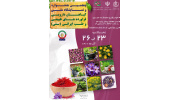 حضور پژوهشکده گیاهان دارویی جهاددانشگاهی در پنجمین جشنواره و نمایشگاه ملی گیاهان دارویی
