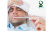 کاهش تب با پوست درخت بید و گیاهان گیاهان دارویی دیگر