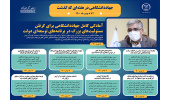 اینفوگرافیک/آمادگی کامل جهاددانشگاهی برای گرفتن مسئولیت‌های بزرگ در برنامه‌های توسعه‌ای دولت
