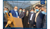 آمادگی جهاددانشگاهی برای ایجاد مراکز ساماندهی و توسعه مشاغل خانگی با همکاری سایر دستگاه‌ها