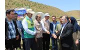 طرح ملی توسعه مشاغل خانگی به توسعه روستاها و مناطق عشایری کمک می‌کند