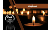 پیام تسلیت رییس جهاددانشگاهی در پی درگذشت دکتر حسن غفوری فرد