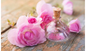 ترمیم التهاب پوست با عصاره گل محمدی و جوی دو سر