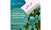 پتانسیل های بیوتکنولوژیک و تاکسونومی یک  راسته باکتریایی بررسی شد