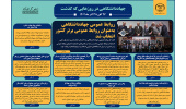 اینفوگرافیک/ انتخاب روابط عمومی جهاددانشگاهی به عنوان روابط عمومی برتر کشور