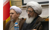 توجه جدی به جنبه علمی و فقهی درمان ناباروری برای جلوگیری از خطا در آینده