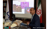 کاربست قانون جهش تولید دانش بنیان در حوزه پژوهش و فناوری جهاددانشگاهی خراسان رضوی