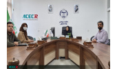 توصیف اندیشکده گردشگری جهاددانشگاهی اصفهان به عنوان یک اندیشکده حرفهای
